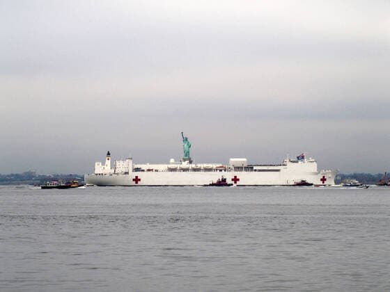 March 30, 2020, New York, New York, USA: The Hospital Ship USNS Comfort arrives in New York. USNS Comfort sail under the Verrazano Narrows bridge then proceeds to go past the Statue of Liberty to it s berth at pier 90 on the Westside of Manhattan New York USA - ZUMAct2_ 20200330_zaf_ct2_028 Copyright: xBrucexCotlerx