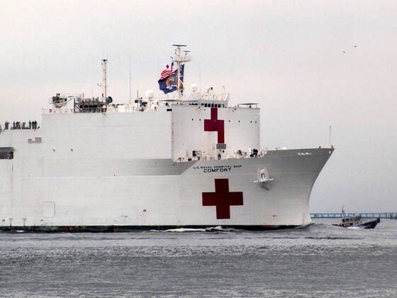 March 30, 2020, New York, New York, USA: The Hospital Ship USNS Comfort arrives in New York. USNS Comfort sail under the Verrazano Narrows bridge then proceeds to go past the Statue of Liberty to it s berth at pier 90 on the Westside of Manhattan New York USA - ZUMAct2_ 20200330_zaf_ct2_046 Copyright: xBrucexCotlerx
