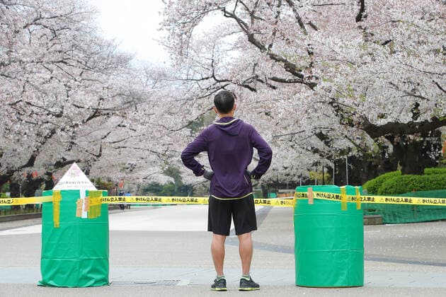 News Bilder des Tages A street of cherry blossoms is closed as a safety precaution against the new coronavirus at Ueno Park in Tokyo, Japan on March 31, 2020.  (124903369)