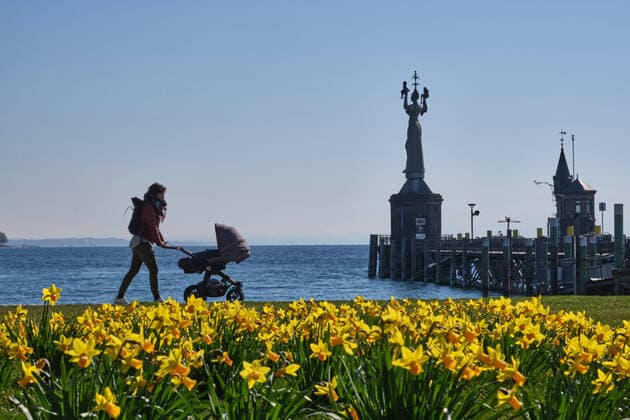 Konstanz, woman with pram in spring, daffodils and Imperia