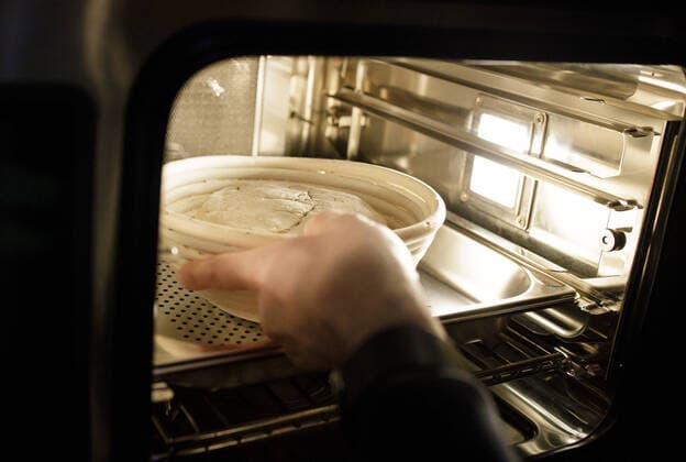 You hold a fermenting cookie with a dough of sourdough in one hand Berlin Germany Copyright: xThomasxImo photothek.netx