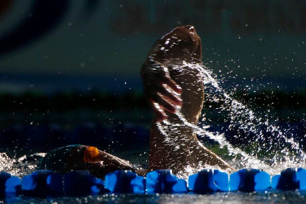 IMAGO Creative: Sport Start-Up Freestyle 002 A freestyle swimmer is light up while swimming down the lap lane.  Copyright: xSportlibraryx 136351