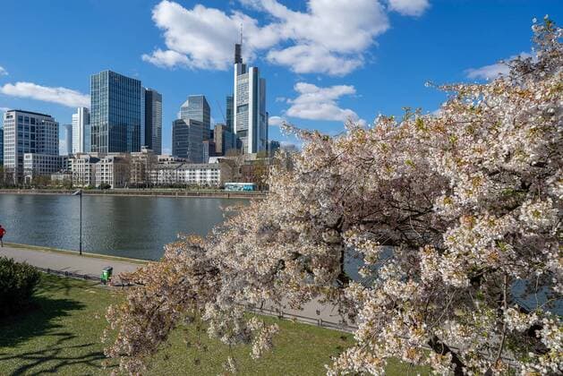 Germany Frankfurt 31 03 2020 in Times of Corona Impressions from Frankfurt Frankfurt Frankfurt skyline from Schaumainkai and with cherry blossom Economy Impressions from Frankfurt am Main