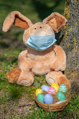 Easter bunny with Easter nest during the Corona crisis Foto:xJ.xKrickx xFuturexImage