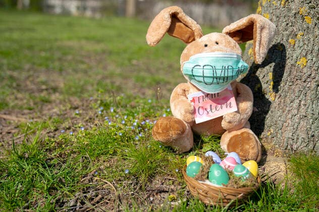 Easter bunny with Easter nest during the Corona crisis Foto:xJ.xKrickx xFuturexImage