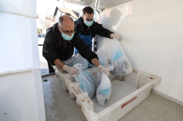 Delivery of fresh fish 01.04.2020., Croatia, Zagreb - Due to the spread of coronavirus infection, it is temporarily forbidden to sell on city markets and fish markets, so the delivery of fresh fish ordered by telephone or mail is delivered by the Boronic fish market located within the Spansko market. RobertxAnic PIXSELL