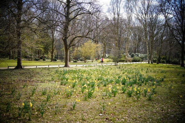 01 04 2020,Berlin,Germany,CEFR,the city in times of the corona pandemic Spring bloomers in Tiergarten