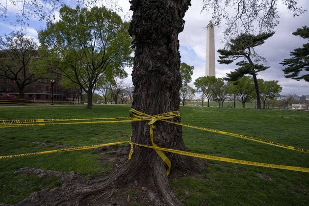 Sections of the National Mall are closed to the public as the DC Government issues a stay at home order to help combat the Coronavirus, COVID-19, pandemic, in Washington, D.C. on Wednesday, April 1, 2020.  WAP20200401314 KEVINxDIETSCH