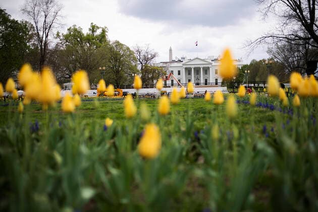 News Bilder des Tages (200402) -- WASHINGTON D.C., April 2, 2020 -- The White House is seen during the outbreak of COVID-19 in Washington D.C., the United States, April 1, 2020. The United States became the first nation with more than 200,000 COVID-19 infections on Wednesday, according to a new tally from Johns Hopkins University. ) U.S.-WASHINGTON D.C.-COVID-19 LiuxJie 