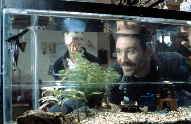 OSCARS. Bester Nebendarsteller. PreistrÃ¤ger 1981-1990 A FISH CALLED WANDA, Michael Palin, Kevin Kline, 1988 Courtesy Everett Collection !ACHTUNG AUFNAHMEDATUM GESCHÃ„TZT! PUBLICATIONXNOTxINxCANxCHNxFRAxITAxJPNxNORxPOLxRUSxESPxUKxUSA Copyright: xCourtesyxEverettxCollectionx MSDFICA EC006