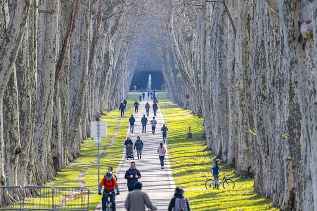 DEU, Germany, Baden Württemberg, Stuttgart, 03 04 2020 In springlike temperatures, many people from Stuttgart enjoy the fresh air in the Plane Tree Avenue in the Lower Palace Garden