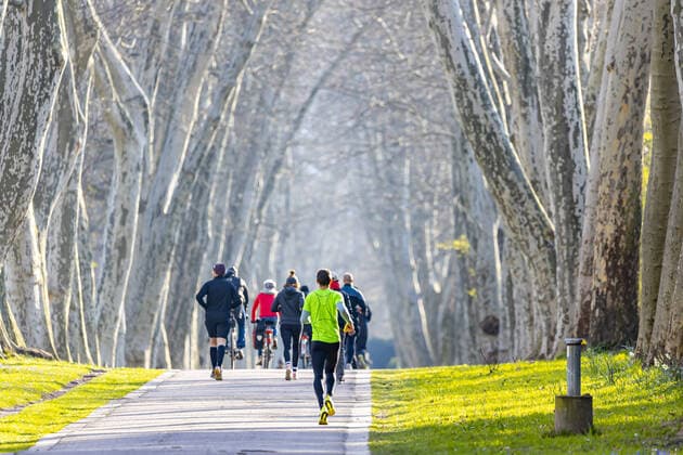 DEU, Germany, Baden Württemberg, Stuttgart, 03 04 2020 In springlike temperatures, many people from Stuttgart enjoy the fresh air in the Plane Tree Avenue in the Lower Palace Garden