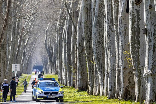 DEU, Germany, Baden Württemberg, Stuttgart, 03 04 2020 In springlike temperatures, many people from Stuttgart are out in the fresh air along the plane tree avenue in the Lower Palace Garden.
