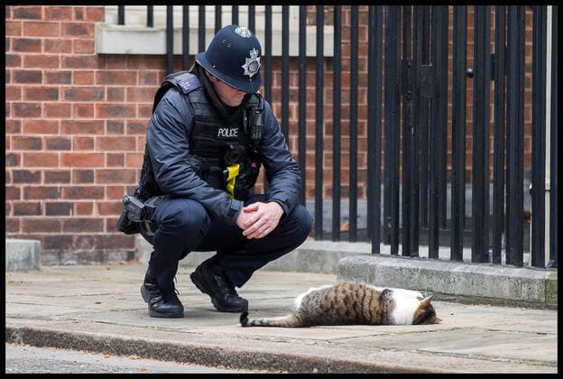 Bilder des Jahres 2020, Entertainment 04 April Entertainment Themen der Woche KW14 News Bilder des Tages . 03 04 2020. London, United Kingdom. Coronavirus Briefing In Downing Street. Larry the No.10 cat rolls around on the pavement in front of a police officer on duty in Downing Street.  xMartynxWheatleyx xi-Imagesx IIM-20981-0017