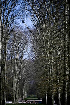 Place nette autour du Chateau de Versailles - parcs et forets fermes par arrete prefectoral les allees du chateau sont desertes - bassin de Neptune NEWS : COVID19 - Paris - 04 04 2020 JBAutissier Panoramic 