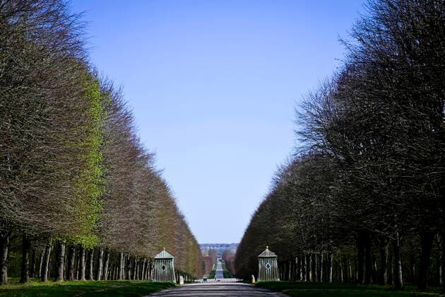 Place nette autour du Chateau de Versailles - parcs et forets fermes par arrete prefectoral les allees du chateau sont desertes NEWS : COVID19 - Paris - 04 04 2020 JBAutissier Panoramic 