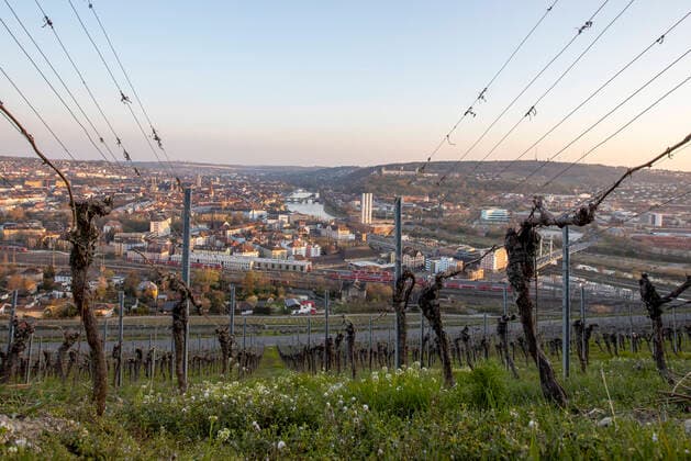 Würzburg, vineyards, 04 04 2020, Panorama Wuerzburg Picture Panorama of Wuerzburg at sunset Copyright: HMBxMediax xHeikoxBecker