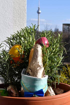 Easter bunny with mouthguard on a balcony during the corona crisis Berlin, 04 04 2020 Foto:xF.xKernx xFuturexImage