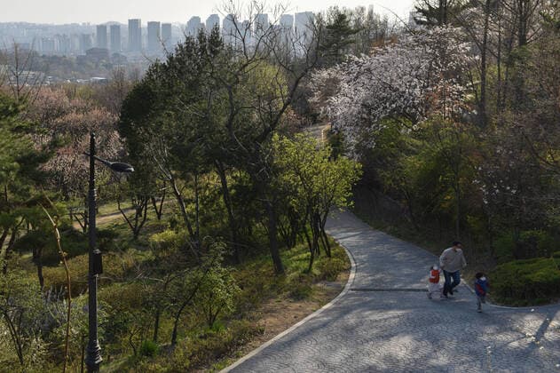 SEOUL, SOUTH KOREA - APRIL 5, 2020: A man and children in face masks take a walk at Namsan Park; the South Korean authorities have called on citizens to stay home and observe social distancing, a self-isolation order to last until April 19. Stanislav Varivoda TASS  TS0D478A
