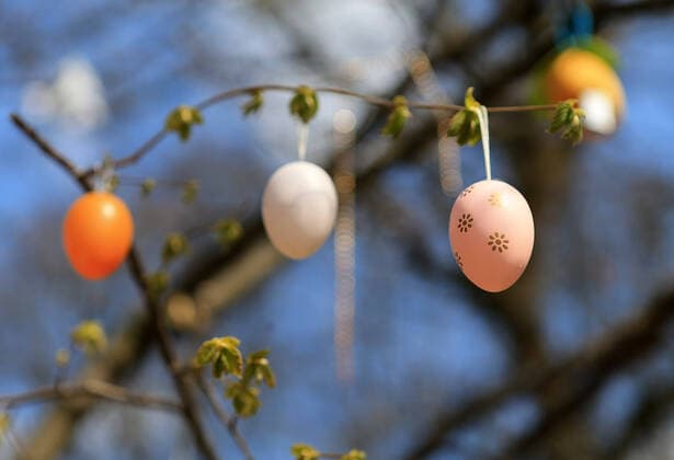 04 04 2020, Promenade at the Isar in Munich during exit restriction because of corona, in the picture easter eggs are hanging on a tree at the Isar