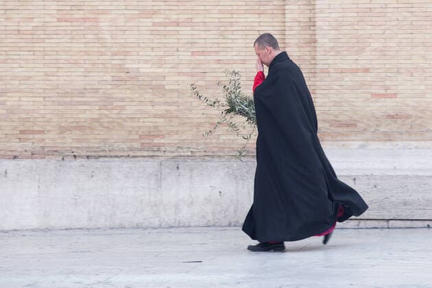 Palm Sunday in St. Peter s Square during CoVID-19 Palm Sunday in St. Peter s Square in Rome in this lockdown period due to the Covid-19 pandemic Roma Italy Copyright: MatteoxNardone