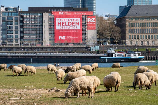 Bilder des Jahres 2020, News 04 April News Themen der Woche KW13 News Bilder des Tages Ein Bauunternehmen hat an der Rheinpromenade ein grossen Plakat, mit Dank an die Helden des Alltags, an eine Hausfassade gehängt, Düsseldorf am Rhein, während der Coronakrise, Auswirkungen der Coronakrise in Deutschland, *** A construction company has hung a large poster on the Rhine promenade, with thanks to the heroes of everyday life, on the facade of a house, Düsseldorf on the Rhine, during the corona crisis, effects of the corona crisis in Germany,