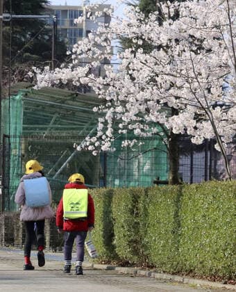 New coronavirus Elementary school students head to school in Toyama, central Japan, on April 6, 2020, as the new school year begins. Elementary and high schools had been closed in Japan since early March due to the coronavirus outbreak. 