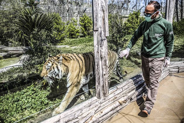 The Naples Zoo launches the Support the Zoo campaign. The park is maintained thanks to the sale of tickets to visitors, but in this period the park is closed due to the restrictive measures for the containment of Covid 19. The park s proposal is to buy a ticket without a date to guarantee, even in this difficult period, care and food for the animals of the park.  Copyright: xRobertaxBasilex xIPAx xKontrolabx
