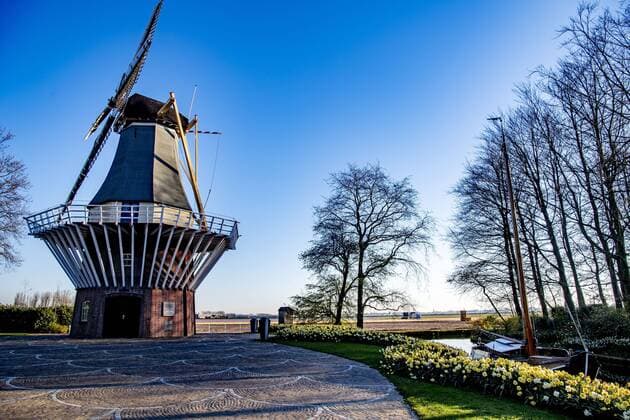 2020-04-06 09:23:28 LISSE - Bloemen in bloei bij leeg Keukenhof , de keukenhof gaat die jaar niet meer open ivm de coronacrisis . Helaas kan de Bloemententoonstelling Keukenhof door de maatregelen rondom het corona virus niet openen in 2020. Geannuleerd - Keukenhof 2020 - alleen virtueel geopend ROBIN UTRECHT covid-19 ,  Copyright: xx x409316378x