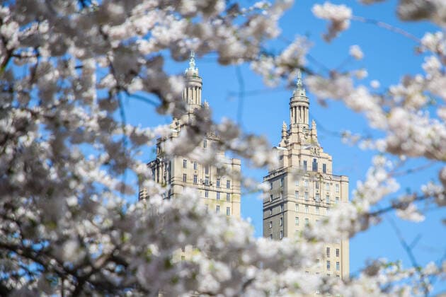 April 6, 2020, New York, NEW YORK, EUA: View of Central Park in the spring in New York during the Coronavirus Covid-19 pandemic in the United States. New York EUA - ZUMAc233 47120007st Copyright: xVanessaxCarvalhox