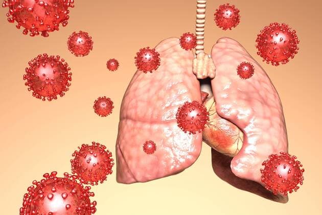 Artistic 3D illustration of the coronavirus 1044005268