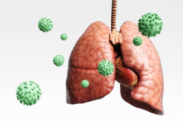 Artistic 3D illustration of the coronavirus 1044005264