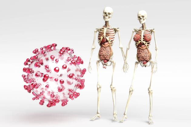 Artistic 3D illustration of the coronavirus 1044005271
