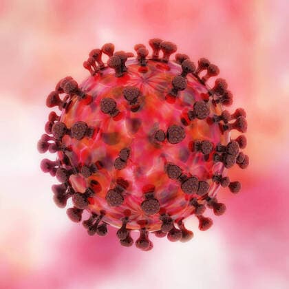Artistic 3D illustration of the coronavirus 1044005262