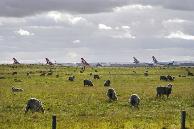 AUSTRALIA CORONAVIRUS COVID-19, Grounded Qantas and Virgin Australia aircraft are seen parked at Avalon Airport in Melbourne, Wednesday April 8, 2020. Government-mandated travel restrictions have grounded a significant proportion of Australia s airline fleet because of the Coronavirus (COVID-19) pandemic. ( NO ARCHIVING, EDITORIAL USE ONLY, NO USE IN BOOKS WITHOUT CONSENT MELBOURNE VIC AUSTRALIA  Copyright: xMICHAELxDODGEx 20200408001462321149