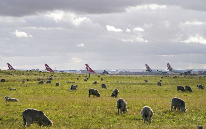 Fluggesellschaft Qantas gibt umfangreichen Stellenabbau bekannt AUSTRALIA CORONAVIRUS COVID-19, Grounded Qantas and Virgin Australia aircraft are seen parked at Avalon Airport in Melbourne, Wednesday April 8, 2020. Government-mandated travel restrictions have grounded a significant proportion of Australia s airline fleet because of the Coronavirus (COVID-19) pandemic. ( NO ARCHIVING, EDITORIAL USE ONLY, NO USE IN BOOKS WITHOUT CONSENT MELBOURNE VIC AUSTRALIA  Copyright: xMICHAELxDODGEx 20200408001462321237