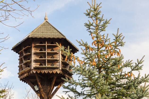 Handmade wooden birdhouse Handmade wooden nesting box and spruce with cones  Copyright: xservickuzx 9795476