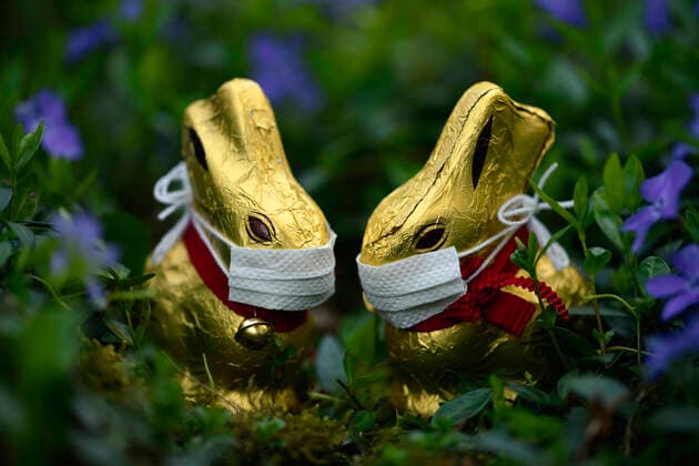 Symbolic picture Easter during the Corona crisis, two chocolate Easter bunnies with mouthguard in a small evergreen Vinca minor , Stuttgart, Baden Württemberg, Germany Refrigerator filled to bursting