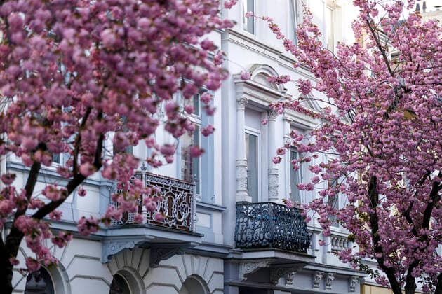 Because of the corona virus, the city of Bonn blocks the cherry blossom for visitors Bonn, 08 04 2020 Foto:xC.xHardtx xFuturexImage