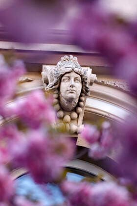 Because of the corona virus, the city of Bonn blocks the cherry blossom for visitors Bonn, 08 04 2020 Foto:xC.xHardtx xFuturexImage