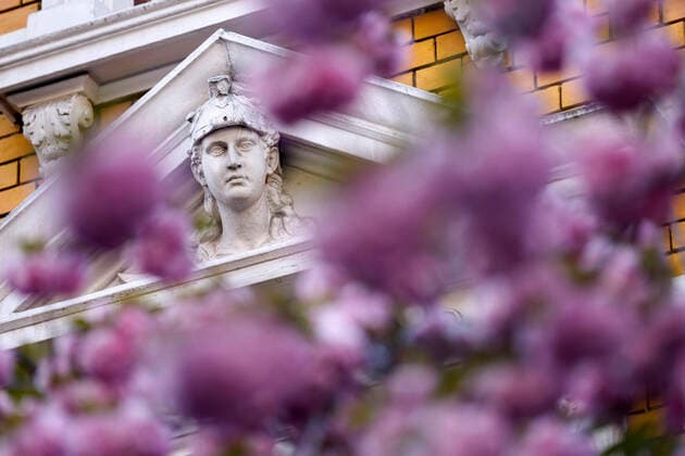 Because of the corona virus, the city of Bonn blocks the cherry blossom for visitors Bonn, 08 04 2020 Foto:xC.xHardtx xFuturexImage
