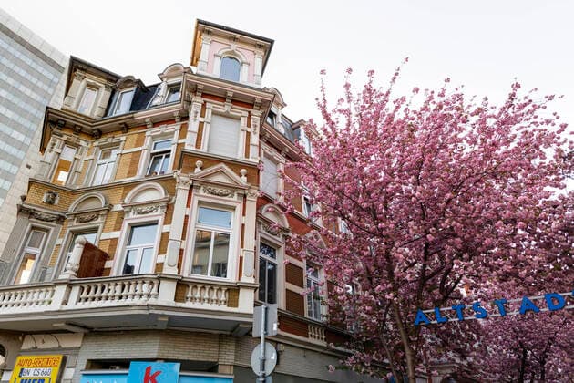 Because of the corona virus, the city of Bonn blocks the cherry blossom for visitors Bonn, 08 04 2020 Foto:xC.xHardtx xFuturexImage