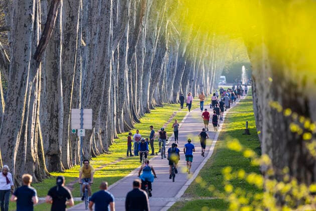 DEU, Germany, Baden Württemberg, Stuttgart, 09 04 2020 Avenue of plane trees in the Lower Palace Gardens in Stuttgart In spring weather and almost summery temperatures, most people followed the rules and kept their distance