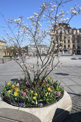 Flowerbed Stachus Fountain due to Corona Virus Removed seat stones Munich 10 04 20 Munich