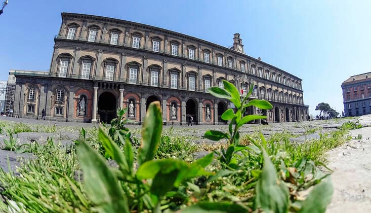 The grass grows in the cracks in the pavement of Plebiscito square in front of the Royal Paace, in the city center, after a month of lockdown. In Italy the lockdown still continue Government Decree declaring all of Italy a protected area to combat covid-19 - coronavirus infection, closing schools, public offices and shops.  Copyright: xSalvatorexLaportax xIPAx xKontrolabx