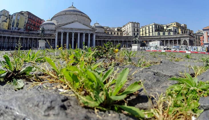 News Bilder des Tages The grass grows in the cracks in the pavement of Plebiscito Square in front of Saint Francesco Da Paola Church, in the city center, after a month of lockdown. In Italy the lockdown still continue Government Decree declaring all of Italy a protected area to combat covid-19 - coronavirus infection, closing schools, public offices and shops.  Copyright: xSalvatorexLaportax xIPAx xKontrolabx