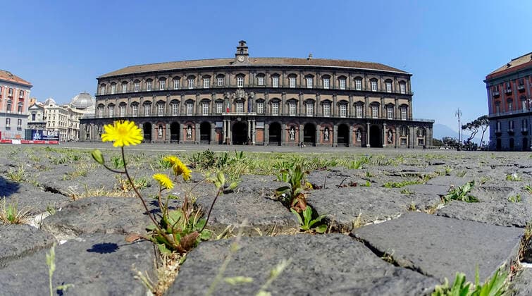 The grass and flowers grow in the cracks in the pavement of Plebiscito square in front of the Royal Paace, in the city center, after a month of lockdown. In Italy the lockdown still continue Government Decree declaring all of Italy a protected area to combat covid-19 - coronavirus infection, closing schools, public offices and shops.  Copyright: xSalvatorexLaportax xIPAx xKontrolabx