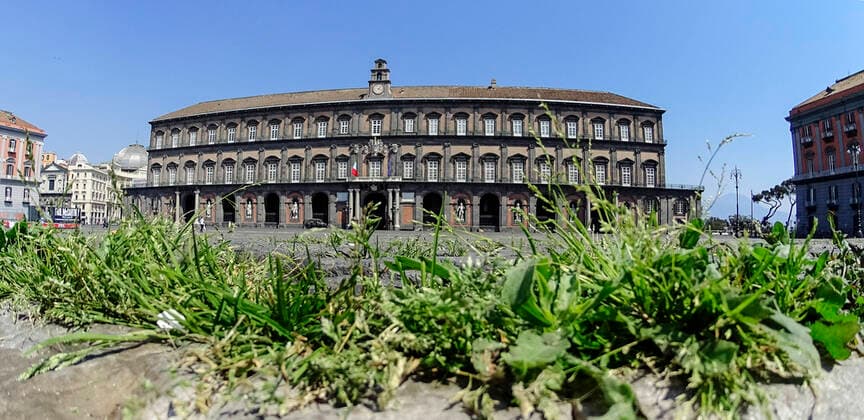 The grass grows in the cracks in the pavement of Plebiscito square in front of the Royal Paace, in the city center, after a month of lockdown. In Italy the lockdown still continue Government Decree declaring all of Italy a protected area to combat covid-19 - coronavirus infection, closing schools, public offices and shops.  Copyright: xSalvatorexLaportax xIPAx xKontrolabx