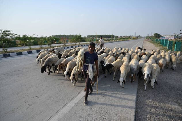 April 11, 2020, Reewa, Madhya Pradesh, India: Reewa (Madhya Pradesh): Shepherd lead their sheep on NH 30 during a government-imposed nationwide lockdown as a preventive measure against the COVID-19 coronavirus, in Reewa (Madhya Pradesh) on Saturday, April 11,2020. Reewa India - ZUMAv115 20200411_zap_v115_024 Copyright: xPrabhatxKumarxVermax
