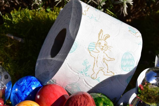 Easter nest with a roll of toilet paper Easter nest with a roll of toilet paper with Easter bunny motif MitEiern and Easter bunny on moss Bad Laer Lower Saxony Germany